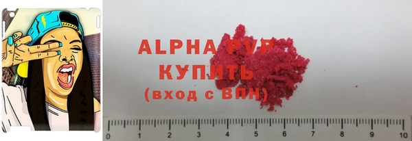 ешки Гусев