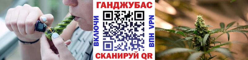 Бошки Шишки конопля  цена наркотик  hydra ТОР  Великий Новгород 
